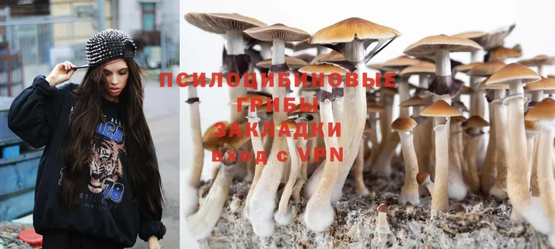 что такое   Мамадыш  Псилоцибиновые грибы Psilocybine cubensis 